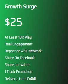 SoundCloud Promotion-Growth Surge